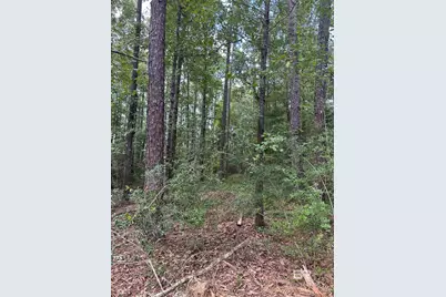 40140 Dogwood Fork Road, Bay Minette, AL 36507 - Photo 5
