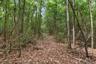 24928 Co Rd 71, Robertsdale, AL 36567 - Photo 49