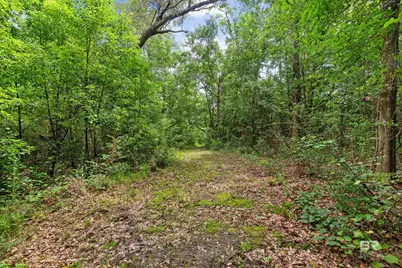 24928 County Road 71, Robertsdale, AL 36567 - Photo 45