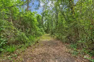 24928 Co Rd 71, Robertsdale, AL 36567 - Photo 43