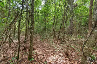 24928 County Road 71, Robertsdale, AL 36567 - Photo 47