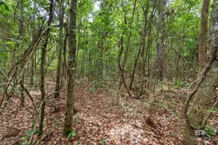 24928 Co Rd 71, Robertsdale, AL 36567 - Photo 47