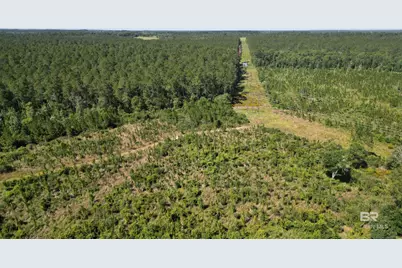 0 County Road 87, Elberta, AL 36530 - Photo 11