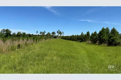 0 County Road 87, Elberta, AL 36530 - Photo 41