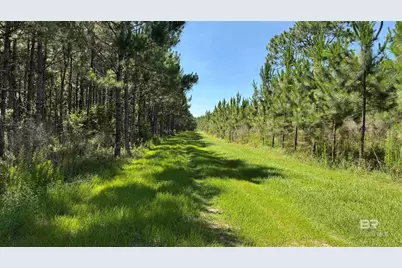 0 County Road 87, Elberta, AL 36530 - Photo 39