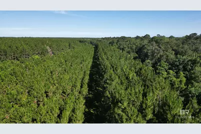 0 County Road 87, Elberta, AL 36530 - Photo 45