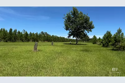 0 County Road 87, Elberta, AL 36530 - Photo 35