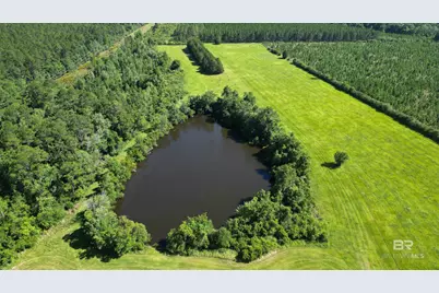0 County Road 87, Elberta, AL 36530 - Photo 3