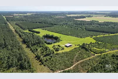 0 County Road 87, Elberta, AL 36530 - Photo 9