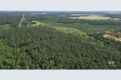 0 County Road 87, Elberta, AL 36530 - Photo 15