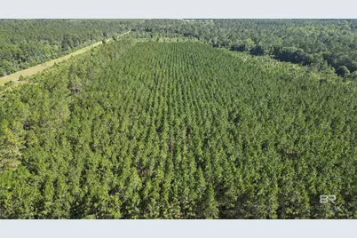 0 County Road 87, Elberta, AL 36530 - Photo 17