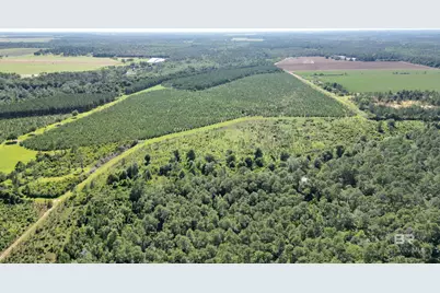 0 County Road 87, Elberta, AL 36530 - Photo 7