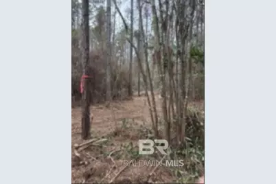 0 Roberts Chapel Road, Mobile, AL 36608 - Photo 9