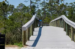 2511 Saltgrass Wy, Orange Beach, AL 36561 - Photo 39