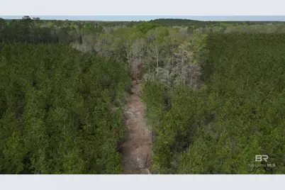 1000 Blk Highway 97, Molino, FL 32577 - Photo 11