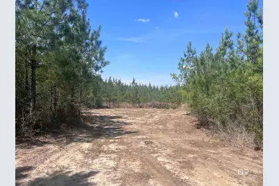 1000 Blk Highway 97, Molino, FL 32577 - Photo 3