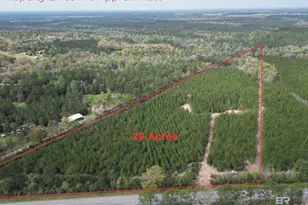 1000 Blk Hwy 97, Molino, FL 32577 - Photo 1