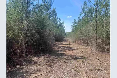 1000 Blk Highway 97, Molino, FL 32577 - Photo 5