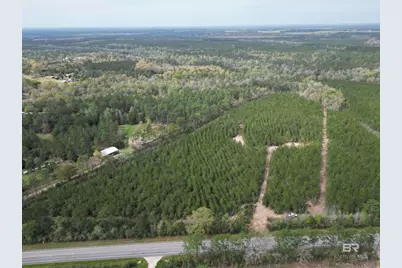 1000 Blk Highway 97, Molino, FL 32577 - Photo 13