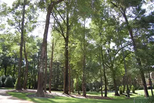 166 Willow Lake Dr, Fairhope, AL 36532 - Photo 85
