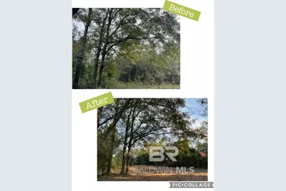 12541 Frondfield Lane, Elberta, AL 36530 - Photo 3