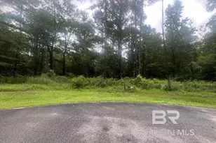 12870 Fish River Rd, Foley, AL 36535 - Photo 1