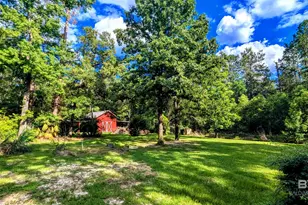 6648 St Stephens Ave, Millry, AL 36558 - Photo 87