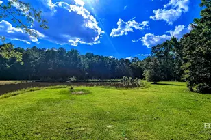 6648 St Stephens Ave, Millry, AL 36558 - Photo 49