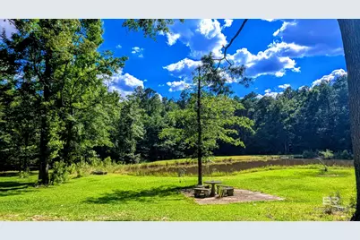 6648 Saint Stephens Avenue, Millry, AL 36558 - Photo 47
