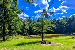6648 St Stephens Ave, Millry, AL 36558 - Photo 47