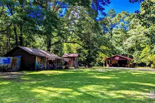 136 Jones Dr, Millry, AL 36558 - Photo 75
