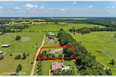 13124 Peyton Place, Foley, AL 36535 - Photo 43