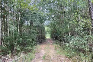21305 River Rd, Robertsdale, AL 36567 - Photo 15