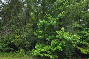 0 Shenandoah Dr, Spanish Fort, AL 36527 - Photo 1