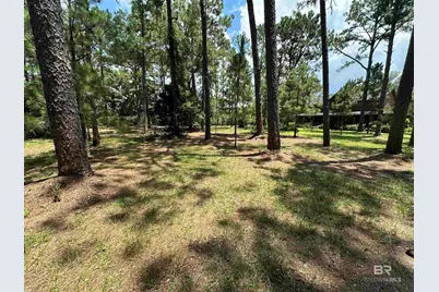 8100 S Highway 59, Foley, AL 36535 - Photo 3