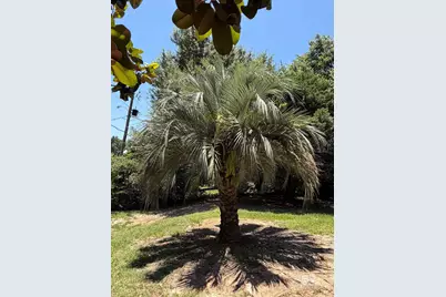121 Windsor Drive, Daphne, AL 36526 - Photo 7
