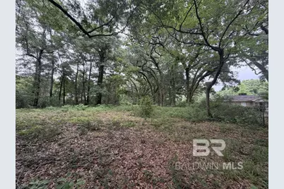 0 Highway 225, Spanish Fort, AL 36527 - Photo 1