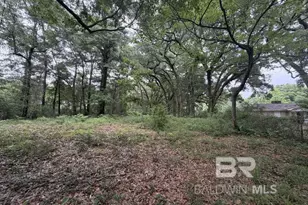 0 Hwy 225, Spanish Fort, AL 36527 - Photo 1