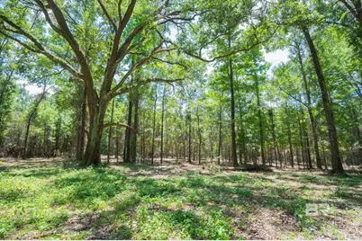 0 Hurricane Road, Bay Minette, AL 36507 - Photo 3