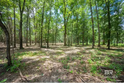 0 Hurricane Road, Bay Minette, AL 36507 - Photo 5