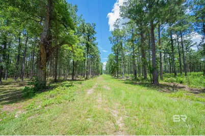 0 Hurricane Road, Bay Minette, AL 36507 - Photo 1