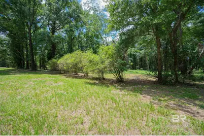 0 County Road 86, Bay Minette, AL 36507 - Photo 11
