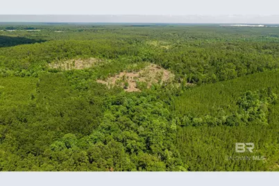 0 Joe Hall Road, Bay Minette, AL 36507 - Photo 5