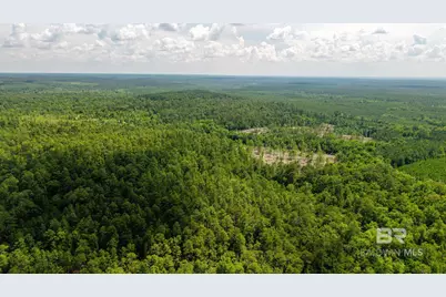 0 Joe Hall Road, Bay Minette, AL 36507 - Photo 3