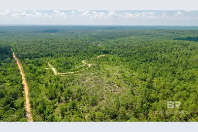 0 Joe Hall Road, Bay Minette, AL 36507 - Photo 7