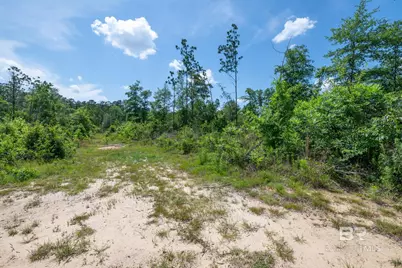0 Joe Hall Road, Bay Minette, AL 36507 - Photo 9
