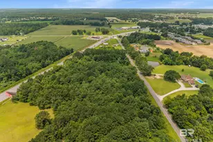 0 S Hwy 59, Loxley, AL 36551 - Photo 11