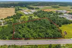 0 S Hwy 59, Loxley, AL 36551 - Photo 3