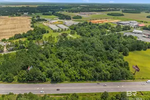 0 S Hwy 59, Loxley, AL 36551 - Photo 9