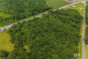 0 S Hwy 59, Loxley, AL 36551 - Photo 13